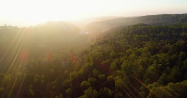 Рухатися вперед через ліс в заходом або сходом сонця літній день з сонцем відблиску. Європі Італії відкритий характер зелений пейзаж диких повітряних establisher.4k drone польоту над Вудс встановлення постріл — стокове відео