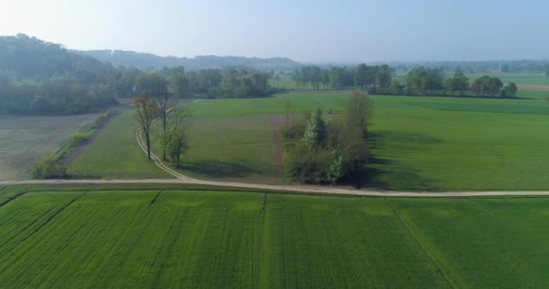 Avanzar sobre campos verdes y caminos de grava en el día de verano.Europa Italia naturaleza verde al aire libre paisaje aéreo establecimiento.4k drone vuelo establecer tiro — Vídeos de Stock