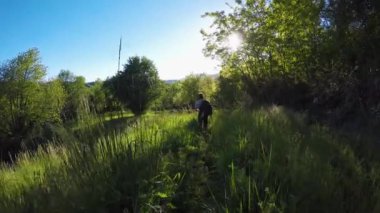 Aşağıdaki backpacker uzun yürüyüşe çıkan kimse adam vahşi ormanda yürüyor. güneş ışığı güneşli yaz day.4k videoda filtreleme ile açık havada yeşil doğa orman yürüyüş veya trekking macera