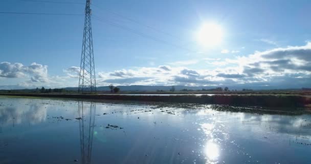 사이드 공중 보기 쌀 농업 농촌 분야 전기 선 철 탑과 홍수. 일광 화창한 여름 또는 봄 구름입니다. 4 k 무인 비디오 샷 — 비디오