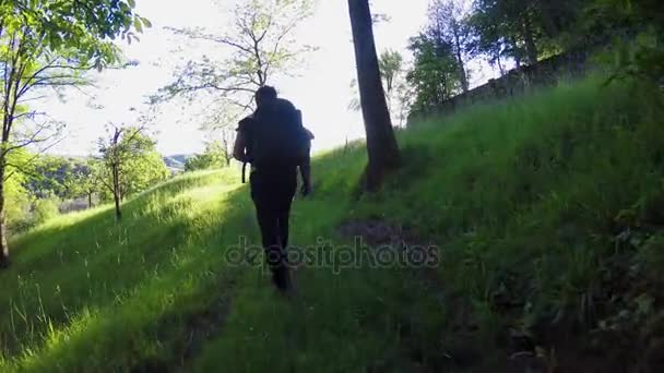 Seguendo escursionista escursionista uomo zaino in spalla a piedi nei boschi selvaggi. escursioni o trekking avventura all'aria aperta verde foresta naturale con luce solare filtrante in soleggiata giornata estiva.4k video — Video Stock