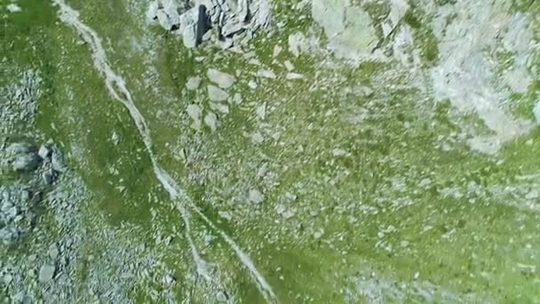 Se déplacer au-dessus des rochers et de l'herbe dans la vallée de montagne — Video