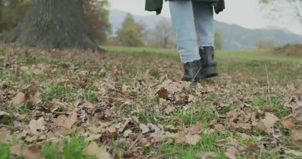 靴と手順に関する詳細。白人金髪女性 slomo ツリーに触れる秋の森に向かって歩いています。ジンバルの後ろに続きます。ストーリーテ リング本当の若い成人人々 秋 forest.4k スロー モーション ビデオで一人で — ストック動画