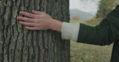 Gövde ve elleri üzerinde ayrıntılı. Ağaç dokunmadan sonbahar doğru yürüme Beyaz sarışın kadın slomo. Yalpa takip. Hikaye anlatımı çok genç yetişkin insanlar sonbahar forest.4k yavaş çekimde video yalnız