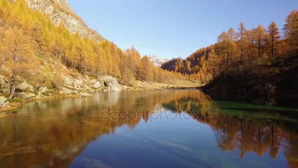 POV olhando para o lago perto de madeira, três e montanhas nevadas.Dia ensolarado de outono Caminhadas em floresta vermelha colorida natureza selvagem montanha ao ar livre.Europa Itália Alpes Devero lago park.4k ponto de vista estabelecer vídeo — Vídeo de Stock