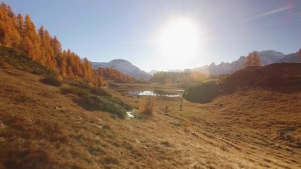 Côté POV marche sur le chemin de champ d'automne près du lac avec des montagnes ensoleillées et neigeuses.Journée ensoleillée d'automne Randonnée dans la forêt rouge colorée nature sauvage montagne à l'extérieur.Alpes Devero.4k point de vue établissement vidéo — Video