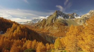 ormanda ağaçların, göl ve karlı Dağları ile sonbahar yolda yürürken Pov yan. Güneşli sonbahar günü açık havada renkli kırmızı orman vahşi doğa dağda Hiking. Alps Devero.4k bakış video oluşturma