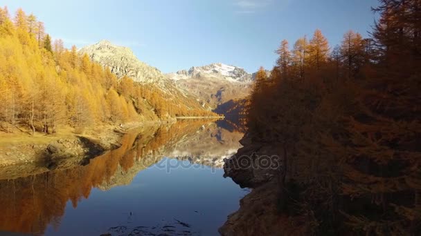 Côté POV marche sur les bois d'automne sentier près du lac et des arbres avec des montagnes neigeuses.Journée ensoleillée d'automne Randonnée dans la forêt rouge colorée nature sauvage montagne à l'extérieur.Alpes Devero.4k point de vue établissement vidéo — Video