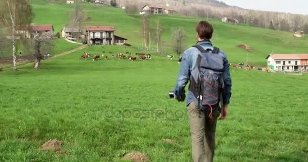 Hombre de senderismo a vacas manada en busca de fotos. Personas reales Millennial viajero mochilero adulto fotógrafo masculino caminando en el campo rural para tomar fotografías en la temporada de otoño. Vídeo 4k — Vídeo de stock
