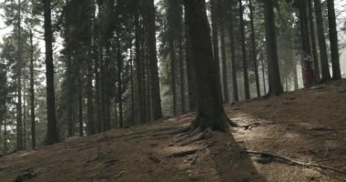 Orman ağaçların arasından koşan atlet kız. Aşağıdaki yan. Gerçek insanlar kadın atlet spor sonbahar ya da kış vahşi dağ açık havada doğa, kötü sisli weather.4k 60 p ağır çekim video eğitim