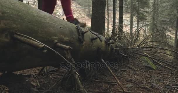 Atlet dívka, která skočila log v lesních dřevin. Po straně. Skuteční lidé žena běžec sport školení v na podzim nebo v zimě v hornaté venku příroda, špatná mlha weather.4k 60p zpomalené video — Stock video