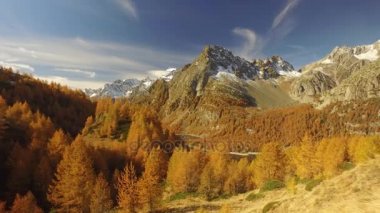 ormanda ağaçların, göl ve karlı Dağları ile sonbahar yolda yürürken Pov yan. Güneşli sonbahar günü açık havada renkli kırmızı orman vahşi doğa dağda Hiking. Alps Devero.4k bakış video oluşturma