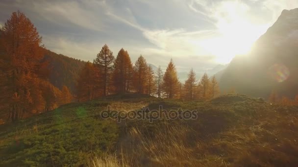 Pov, sonbahar yolda yürüme için valley Gölü ve karlı dağ güneş batımında flare. Güneşli sonbahar günü renkli kırmızı orman vahşi doğa dağ outdoors.4k'da yürüyüş gelin görünümü kurulması video — Stok video