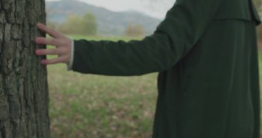 Gövde ve elleri üzerinde ayrıntılı. Ağaç dokunmadan sonbahar doğru yürüme Beyaz sarışın kadın slomo. Yalpa takip. Hikaye anlatımı çok genç yetişkin insanlar sonbahar forest.4k yavaş çekimde video yalnız