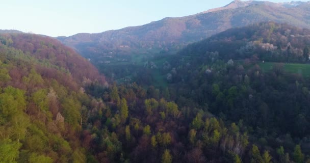 Vooruit zich beweegt over bos in de zonsondergang of zonsopgang zomerdag met zon flare. Europa Italië buiten groene natuur scape wild luchtfoto establisher.4k drone vlucht boven bossen tot de oprichting van schot — Stockvideo