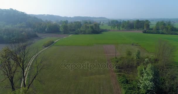 夏の日の緑の野原と砂利道を前進します。ヨーロッパ イタリア屋外の緑の自然景観空中 establisher.4k 無人飛行エスタブリッシング ・ ショット — ストック動画