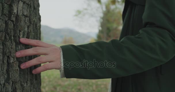 Detail on trunk and hands.Caucasian blond woman slomo walking toward fall woods touching tree.Following behind gimbal.Storytelling real young adult people alone in autumn forest.4k slow motion video — Stock Video
