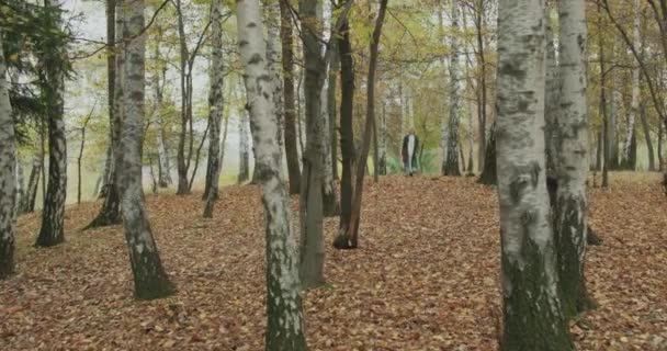 Long shot. Caucasian blond woman slomo walking through fall woods.Following in front gimbal.Storytelling real young adult people alone in autumn forest.4k slow motion video — Stock Video