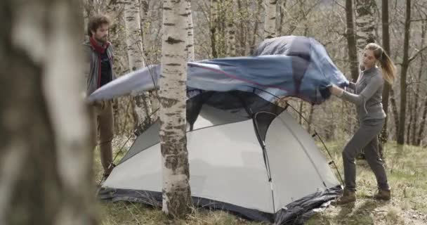 Мужчина и женщина устанавливают палатку в берёзовом лесу. Пара влюбленных в осеннюю прогулку на природе. Осенний солнечный день. 4к замедленное видео — стоковое видео