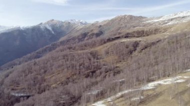 yan sonbahar ya da kış gün çıplak sonbahar ormanda orman ve karlı dağ üzerinde hareket. Atış kurulması açık güneşli doğa scape Kayalık Dağları kar vahşi hava establisher.4k drone ile uçuş