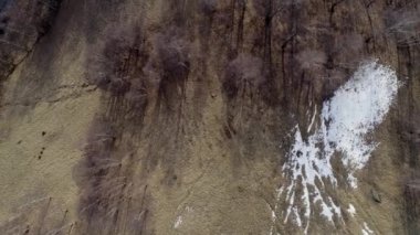 ileri ek yük taşıma üzerinde çıplak ormanda orman düşmek ve dağ sonbahar ya da kış günü kar. Açık güneşli doğa scape dağlar yabani hava establisher.4k drone uçuş atış kurulması