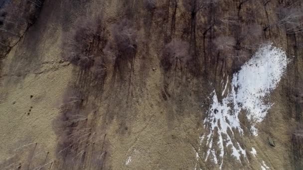 Avanzando sobre bosques desnudos de otoño y montañas de nieve en otoño o invierno. Naturaleza soleada al aire libre scape montañas aéreas salvajes Establecimiento de vuelo drone 4k estableciendo disparo — Vídeos de Stock