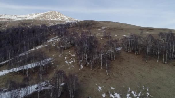 Aller de l'avant sur la forêt nue d'automne et la montagne enneigée en automne ou en hiver jour. Nature ensoleillée en plein air paysage montagnes rocheuses avec neige sauvage aérienne Establisher.4k vol de drone établissant tir — Video