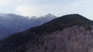 çıplak sonbahar ormanda orman ve karlı dağ üzerinde ilerlemeye sonbahar ya da kış günbatımı. Atış kurulması açık güneşli doğa scape Kayalık Dağları kar vahşi hava establisher.4k drone ile uçuş