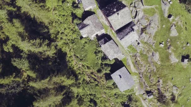 vue de dessus multiple au-dessus de l'emplacement extérieur : bois de forêt, cascade, ruisseau de rivière, village, marais en été, automne, automne, hiver. 