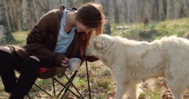 Dostum oyun gitar ve kadın köpek birlikte çevresinde okşayarak place.real arkadaşlar insanlar açık hava kamp çadır tatil sonbahar yolculuk içinde ateş. Sonbahar güneşli bir günde doğa, beraberlik ve dostluk. 4k video