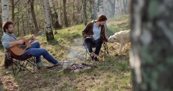 Мужчина играет на гитаре и женщина гладит собаку вместе вокруг костра place.real друзья люди на открытом воздухе палатки отдыха осенью trip.Fall солнечный день в природе, единение и дружба. 4k видео — стоковое видео