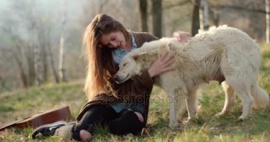 Yangın place.real arkadaşlar insanlar açık hava kamp çadır tatil sonbahar gezi çevresinde mutlu kadın yavaşça okşayarak beyaz köpek gülümsüyor. Sonbahar doğa, hayvan dostluk güneşli günü. 4k video
