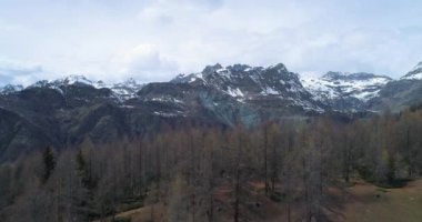 çam köknar veya Karaçam ormanları orman ve karlı dağ sonbaharda keşfetmek kadar hareketli. Alpler açık doğa scape dağlar yabani hava establisher.4k dron kat atış kurulması