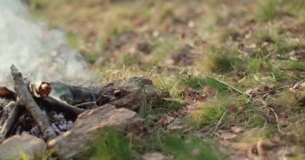 Φωτιά τόπο κοντινό πλάνο με τον καπνό και ζεστό ρόφημα pot.outdoor κάμπινγκ σκηνή διακοπές στην φθινοπωρινή εκδρομή. Πτώση ηλιόλουστη ημέρα στη φύση. βίντεο 4k — Αρχείο Βίντεο