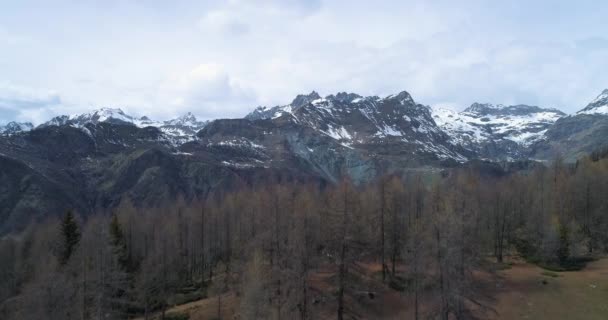 Movendo-se para cima descobrindo acima do abeto de pinho ou floresta de larício e montanha nevada no outono. Outono Alpes natureza exterior paisagem montanhas selvagem aérea establishment .4k drone voo que estabelece tiro — Vídeo de Stock