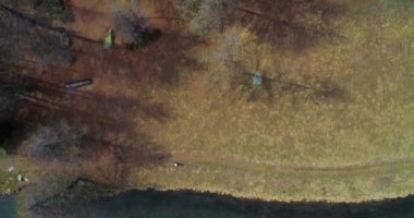 Açık Mavi Göl kıyı şeridi ve çam köknar veya larch ormanda orman sonbaharda ilerlemeye yükü. Alpler açık doğa scape göller hava establisher.4k drone uçuş üstten görünüm atış kurmak düşmek