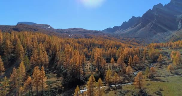 Achterwaartse antenne over alpine berg dal en oranje lariks bos bossen in zonnige herfst. Europa Alpen buiten kleurrijke natuur scape bergen wilde vallen establisher.4k drone vlucht tot oprichting van schot — Stockvideo