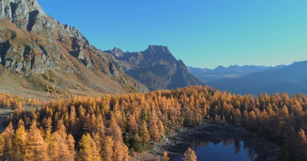 Backward aerial over alpine mountain valley lake and orange larch forest woods in sunny autumn.Alps outdoor colorful nature scape mountains wild fall establisher.4k drone flight establishing shot Stock Footage