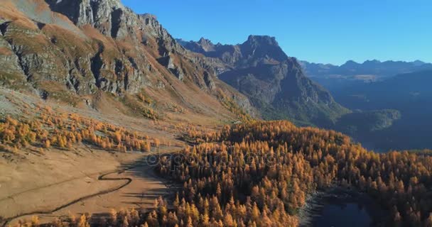 Hacia atrás aérea sobre alpino montaña valle lago y bosque de alerce naranja bosques en otoño soleado.Alpes naturaleza colorido al aire libre paisaje montañas salvaje caída establecimiento.4k drone vuelo establecer tiro — Vídeo de stock