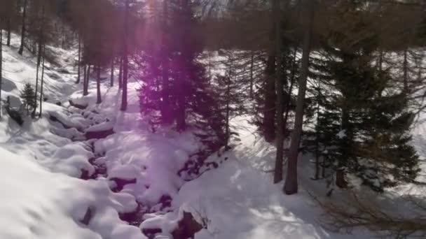 Estabelecedor de drones aéreos de inverno sobre riacho nevado e vale de bosques florestais sob montanhas geladas.Neve na natureza da montanha ao ar livre.Voo para a frente. Viajar explorando Alpes. 4k vídeo vista superior — Vídeo de Stock