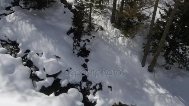 Overhead aerial drone flight establisher over snowy sunny river creek and forest woods. Winter snow in mountain nature outdoors. straight-down perspective travel exploring Alps. 4k top view video — Stock Video