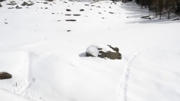 Téli légi drone alapító havas erdő erdő völgyre jeges hegyek. Snow mountain nature szabadban. Előre a repülés. Utazás, Alpok felfedezésére. 4 k felső a videoban — Stock videók