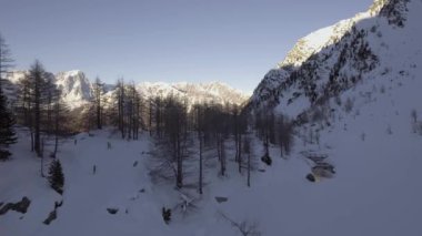 Hava drone uçuş ILDIZ kayakçı ve snowy orman ile buzlu göl üzerinde. Dağ doğa dışarıda kışın karda. Alpler keşfetmek seyahat. 4k video ileri