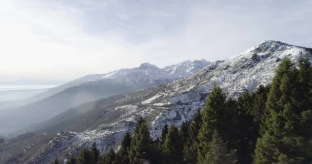 Vol aérien de drone vers l'avant établissant au-dessus des bois forestiers enneigés avec des montagnes en hiver. Neige en montagne nature extérieure.Voyage explorer les Alpes. 4k établissement vidéo — Video