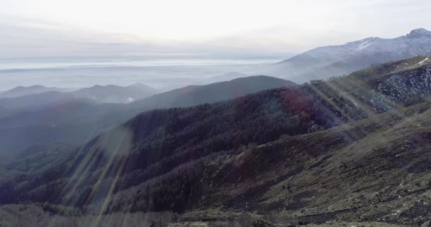 Hava drone uçuş ILDIZ kışın orman koruyu dağlar ve uçaklar üzerinde ileriye doğru. Dağ doğa dışarıda kar. Alpler keşfetmek seyahat. 4k video oluşturma — Stok video
