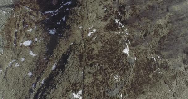 Воздушный беспилотник над заснеженными лесами. Зимний снег в горной природе на открытом воздухе. прямая перспектива путешествия по Альпам. 4k top view video — стоковое видео