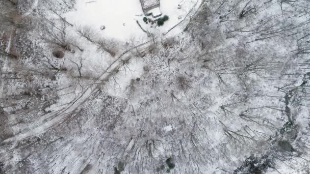 눈 덮인 숲 숲에 오버 헤드 공중 무인 비행기 establisher. 겨울 눈 산 자연 야외에서. 똑바로 다운 관점 탐험 알프스 여행. 4 k 상위 뷰 비디오 — 비디오