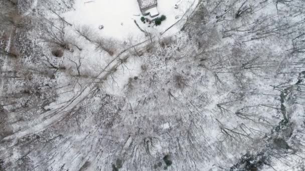 Overhead antenn drönare flyg herrgårdsarkitektur över snöiga skogen skogen. Vinter snö i berg naturen utomhus. rak-down perspektiv resa utforska Alperna. 4 k ovanifrån video — Stockvideo