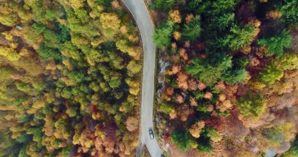 Rezsi felső légifelvételek autó road, színes őszi erdőben utazik át. Esik a narancs, zöld, sárga, piros fa erdőben. Hegyek utcai elérési establisher.4k drone repülés egyenesen lefelé létrehozó lövés — Stock videók