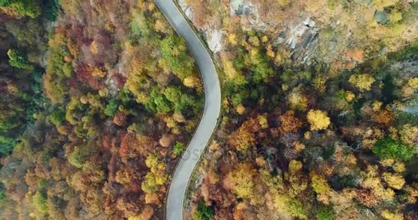 カラフルな秋の森では、道路の旅行の車の上のオーバーヘッド空中平面図です。オレンジ、緑、黄色の赤い木の森に落ちる。山通りパス establisher.4k 無人飛行ストレート ダウン ショットを確立します。 — ストック動画